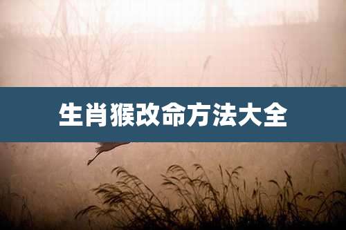 生肖猴改命方法大全