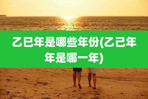 乙巳年是哪些年份(乙己年年是哪一年)