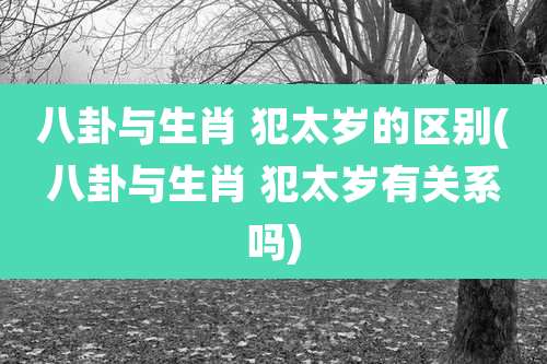 八卦与生肖 犯太岁的区别(八卦与生肖 犯太岁有关系吗)
