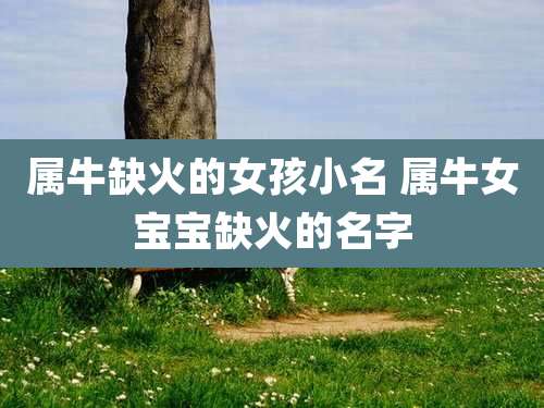 属牛缺火的女孩小名 属牛女宝宝缺火的名字