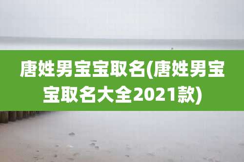 唐姓男宝宝取名(唐姓男宝宝取名大全2021款)
