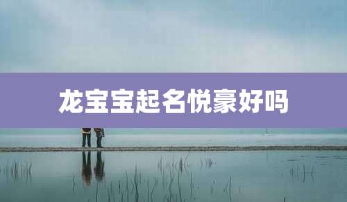龙宝宝起名悦豪好吗