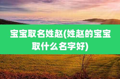 宝宝取名姓赵(姓赵的宝宝取什么名字好)