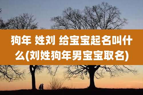 狗年 姓刘 给宝宝起名叫什么(刘姓狗年男宝宝取名)