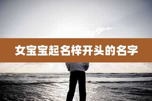 女宝宝起名梓开头的名字