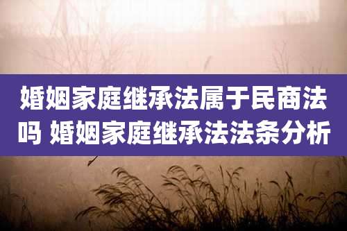 婚姻家庭继承法属于民商法吗 婚姻家庭继承法法条分析