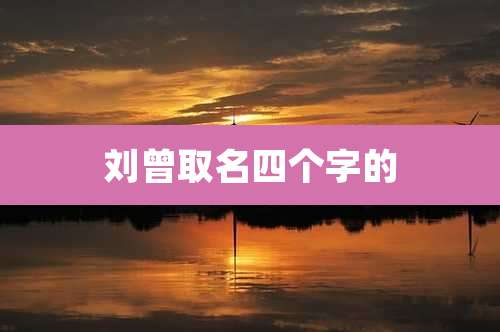 刘曾取名四个字的