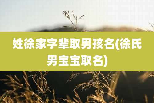 姓徐家字辈取男孩名(徐氏男宝宝取名)