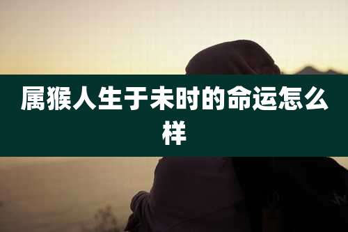 属猴人生于未时的命运怎么样