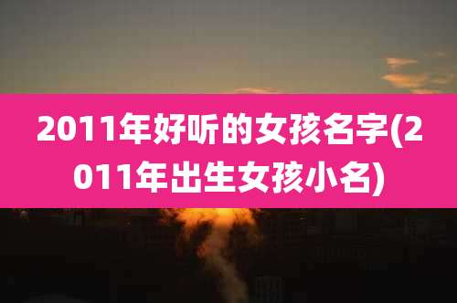 2011年好听的女孩名字(2011年出生女孩小名)