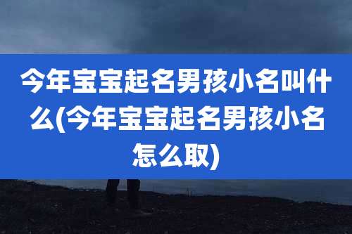 今年宝宝起名男孩小名叫什么(今年宝宝起名男孩小名怎么取)