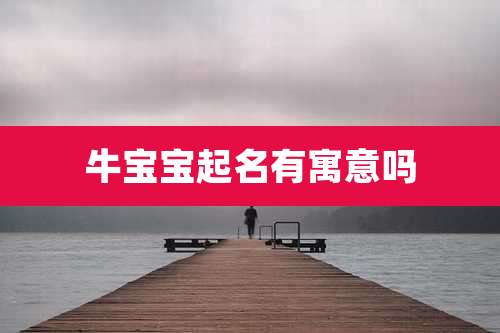 牛宝宝起名有寓意吗
