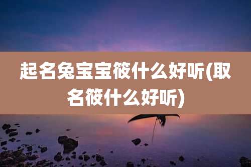 起名兔宝宝筱什么好听(取名筱什么好听)
