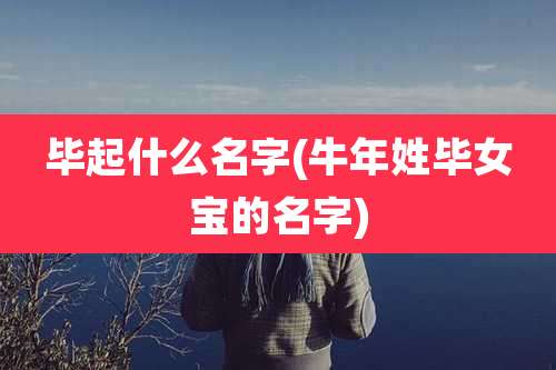毕起什么名字(牛年姓毕女宝的名字)