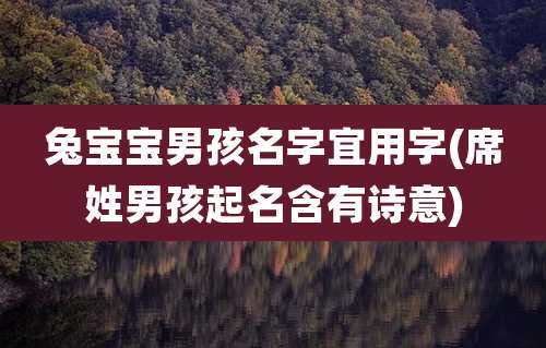 兔宝宝男孩名字宜用字(席姓男孩起名含有诗意)