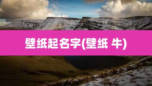 壁纸起名字(壁纸 牛)