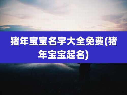 猪年宝宝名字大全免费(猪年宝宝起名)