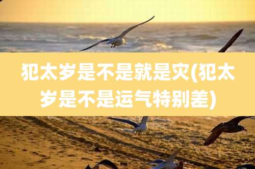 犯太岁是不是就是灾(犯太岁是不是运气特别差)