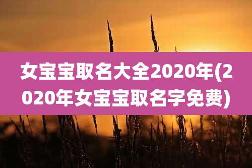 女宝宝取名大全2020年(2020年女宝宝取名字免费)
