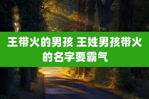 王带火的男孩 王姓男孩带火的名字要霸气