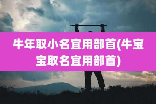 牛年取小名宜用部首(牛宝宝取名宜用部首)