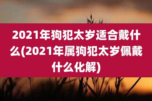 2021年狗犯太岁适合戴什么(2021年属狗犯太岁佩戴什么化解)
