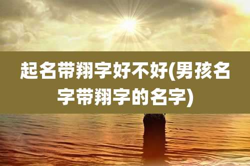 起名带翔字好不好(男孩名字带翔字的名字)