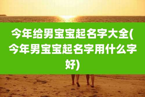 今年给男宝宝起名字大全(今年男宝宝起名字用什么字好)