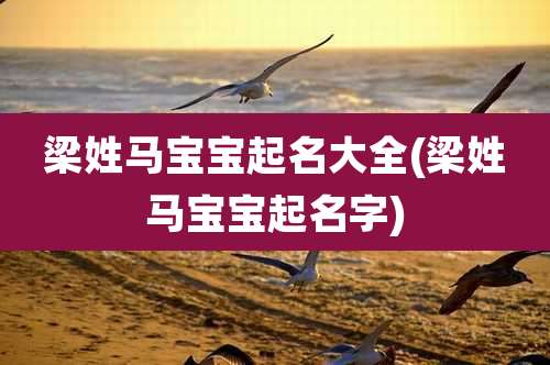 梁姓马宝宝起名大全(梁姓马宝宝起名字)