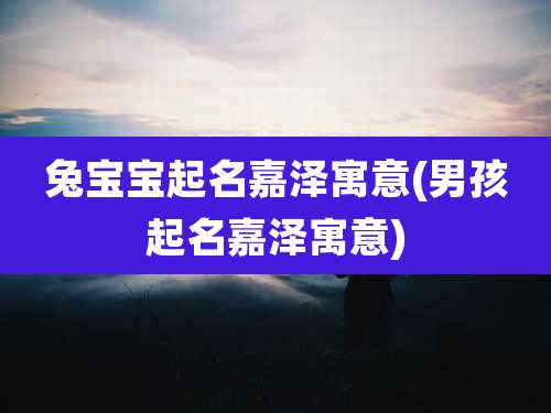 兔宝宝起名嘉泽寓意(男孩起名嘉泽寓意)