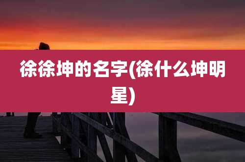 徐徐坤的名字(徐什么坤明星)