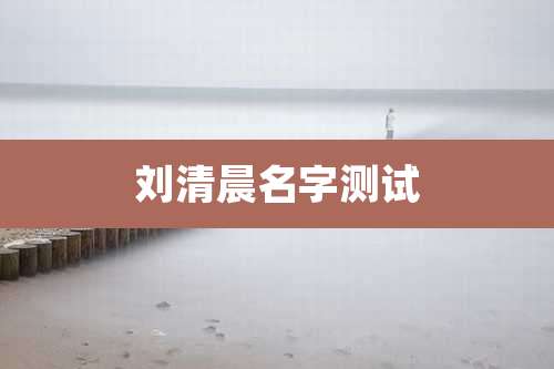 刘清晨名字测试