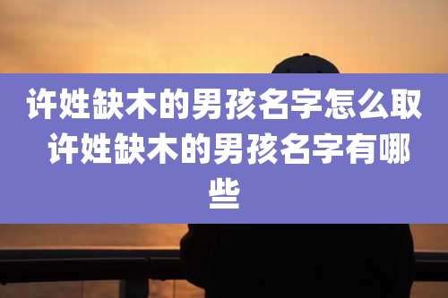 许姓缺木的男孩名字怎么取 许姓缺木的男孩名字有哪些