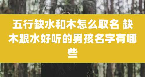 五行缺水和木怎么取名 缺木跟水好听的男孩名字有哪些