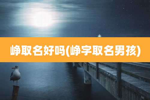 峥取名好吗(峥字取名男孩)