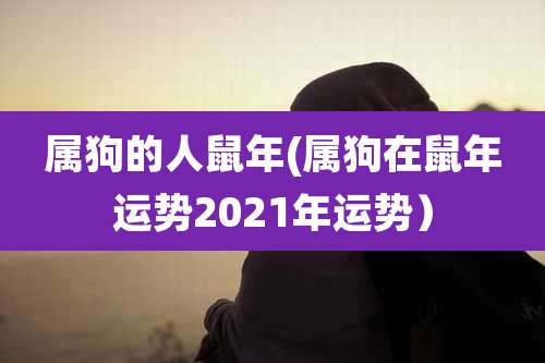 属狗的人鼠年(属狗在鼠年运势2021年运势）