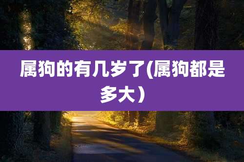 属狗的有几岁了(属狗都是多大)