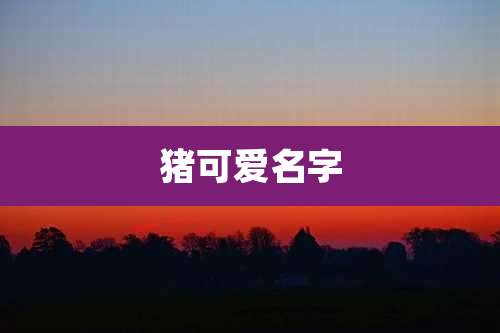 猪可爱名字