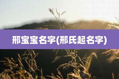 邢宝宝名字(邢氏起名字)