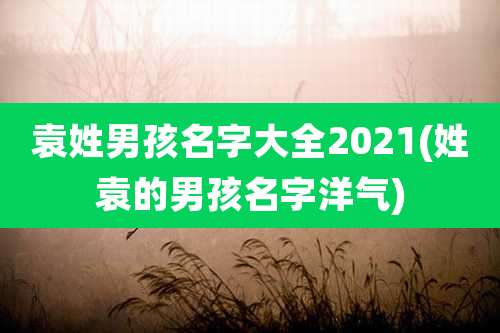 袁姓男孩名字大全2021(姓袁的男孩名字洋气)