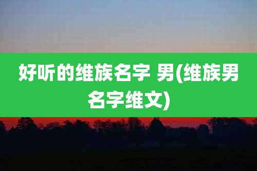 好听的维族名字 男(维族男名字维文)