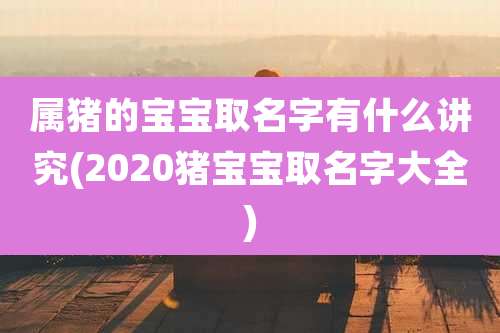 属猪的宝宝取名字有什么讲究(2020猪宝宝取名字大全)