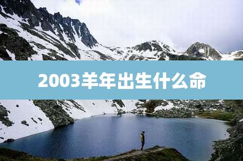 2003羊年出生什么命