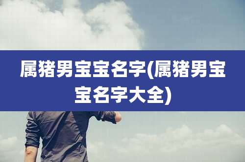属猪男宝宝名字(属猪男宝宝名字大全)