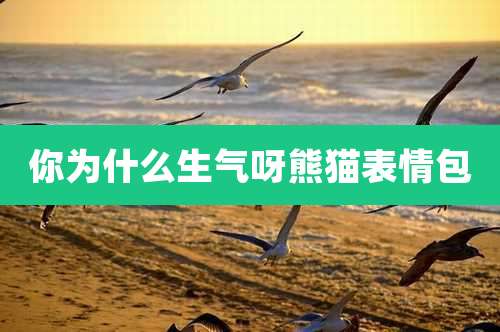 你为什么生气呀熊猫表情包