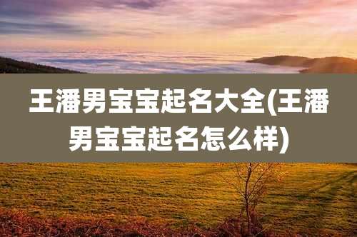 王潘男宝宝起名大全(王潘男宝宝起名怎么样)