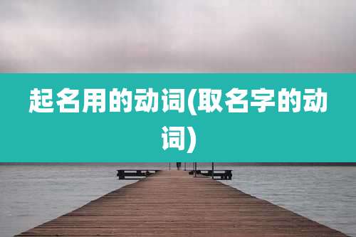 起名用的动词(取名字的动词)