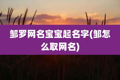 邹罗网名宝宝起名字(邹怎么取网名)