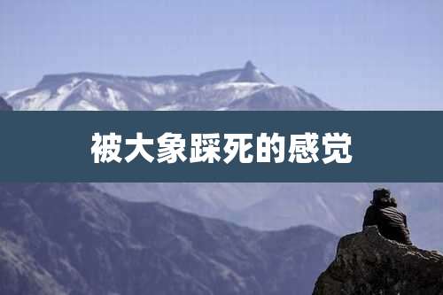 被大象踩死的感觉