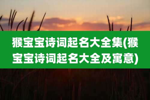 猴宝宝诗词起名大全集(猴宝宝诗词起名大全及寓意)